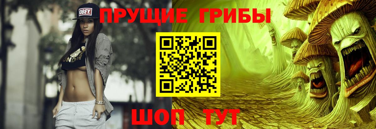 купить   Псилоцибиновые грибы ЛСД  Вход с VPN  Губкинский 